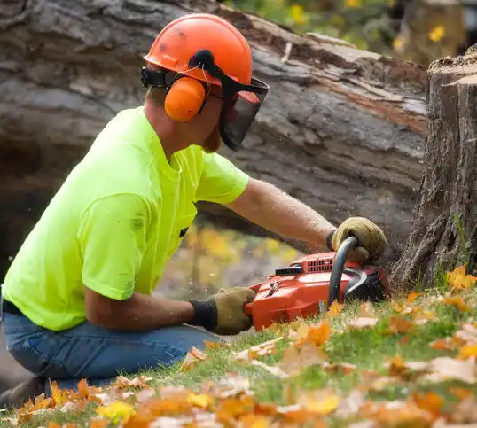 tree services Cobb Island